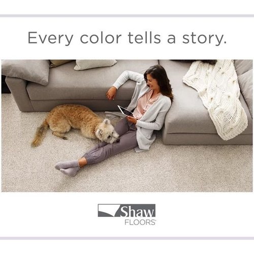 Color Speaks from The Carpet Shop - Inspired Floors for Less in Benton Harbor, MI